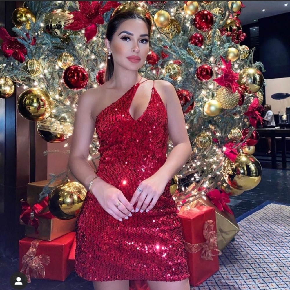 ZARA BEAUTIFUL VELVET SEQUIN DRESS